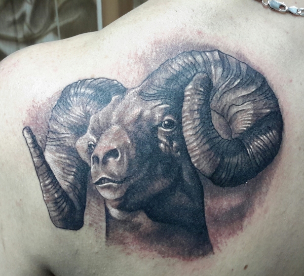 2015-02-04 17.01.42
